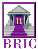 Bric LLC Image